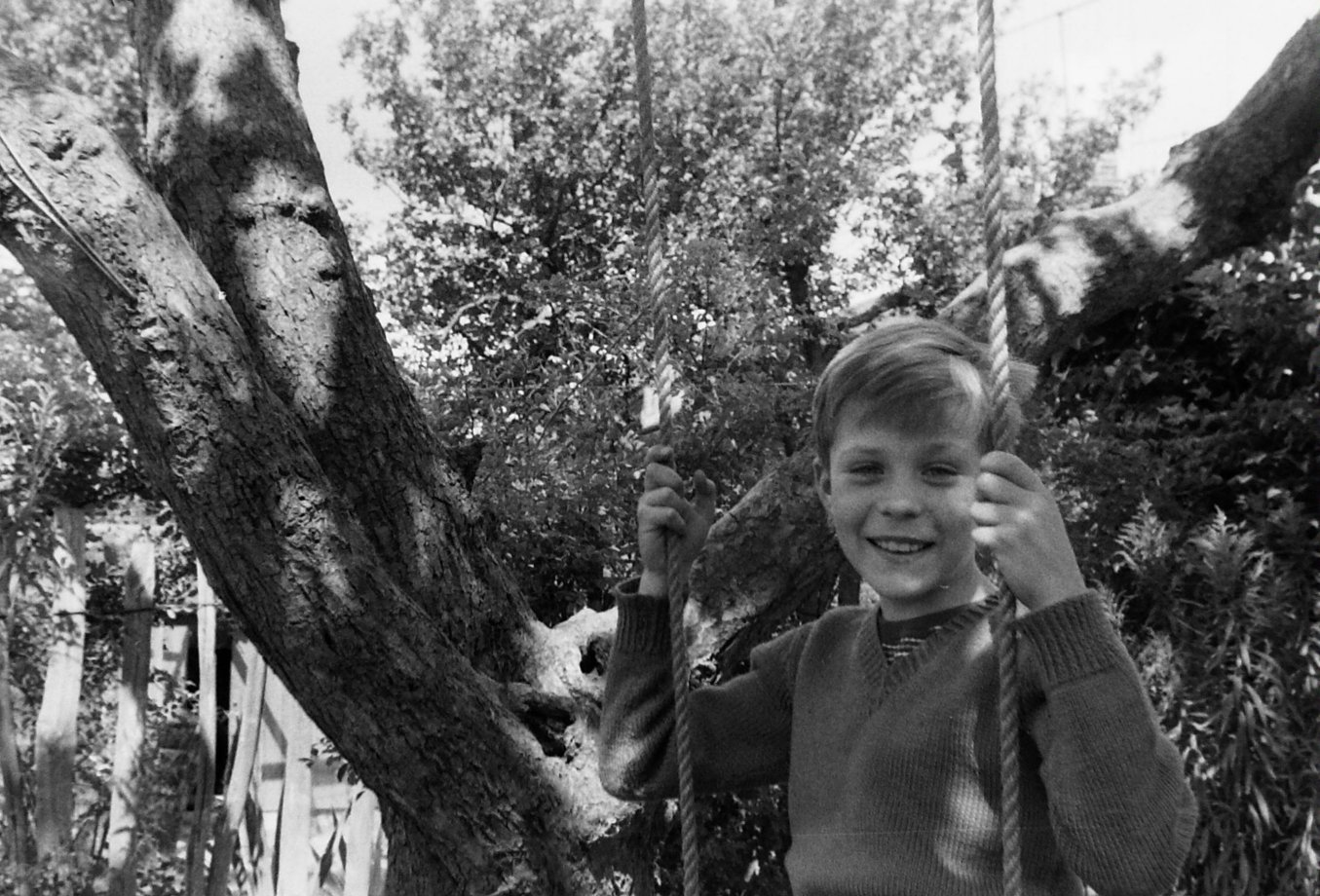 We had a proper tree swing