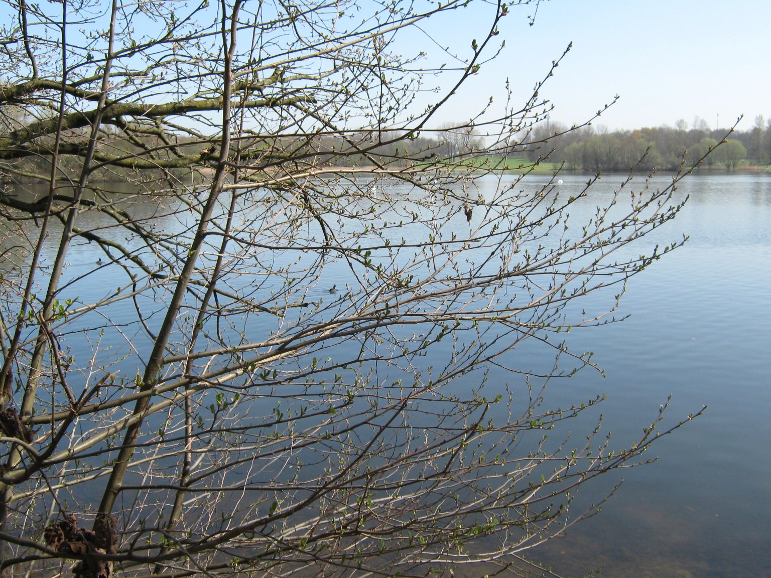 The Öjendorfer See is a central feature of the park