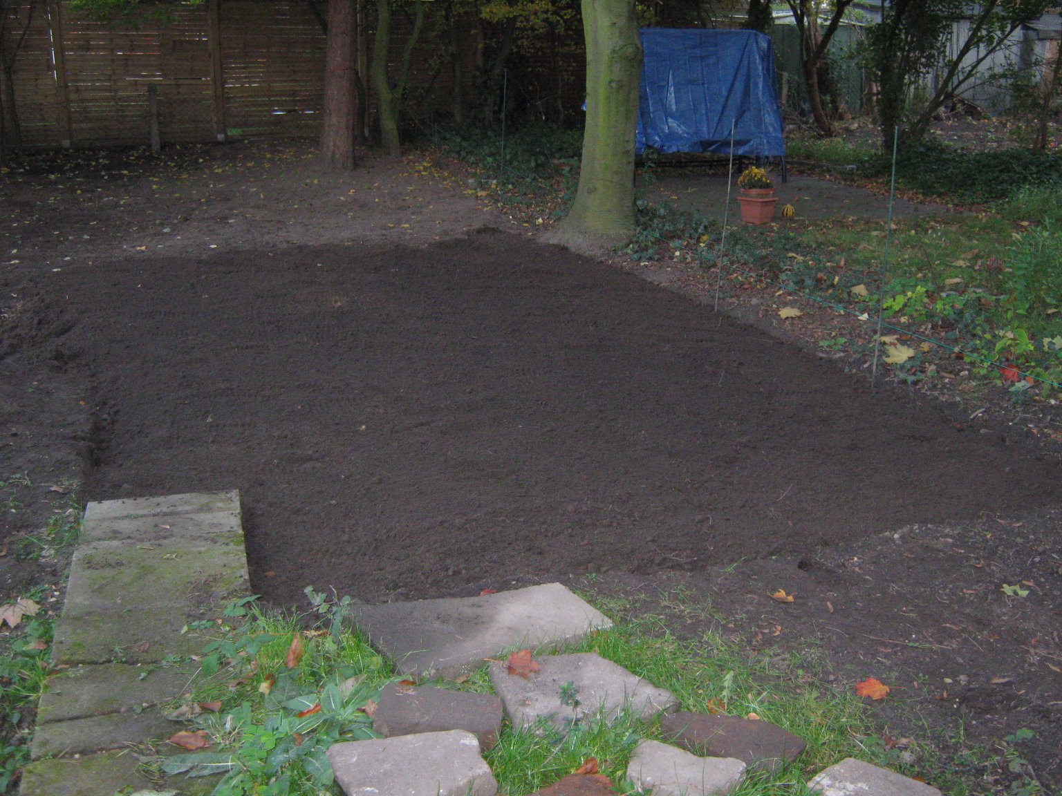 The garden is slowly 'getting there'