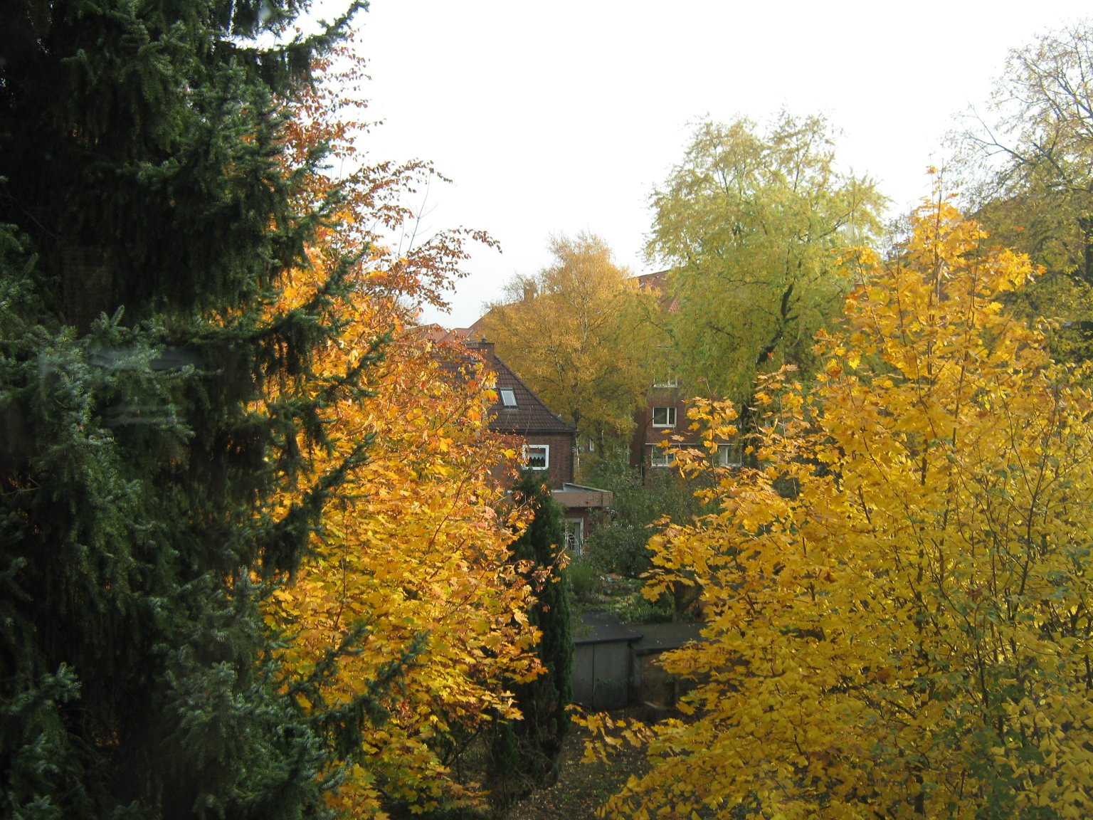 The view from our kitchen window in Autumn 2011