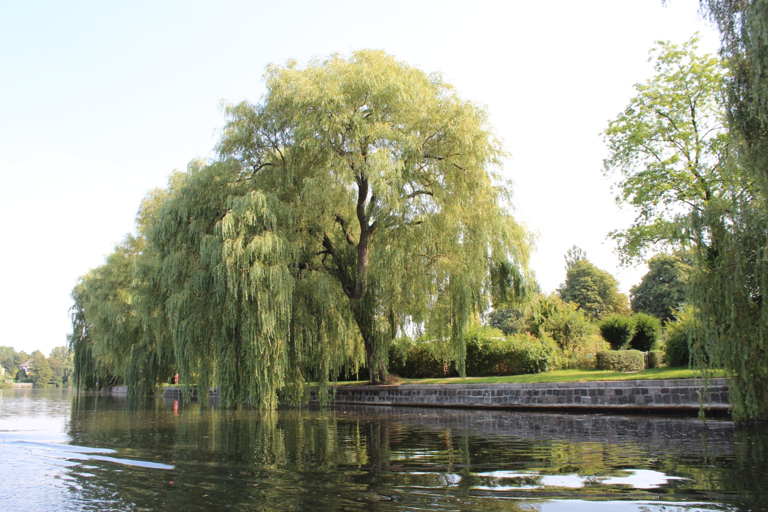 Hamburg is a very green city