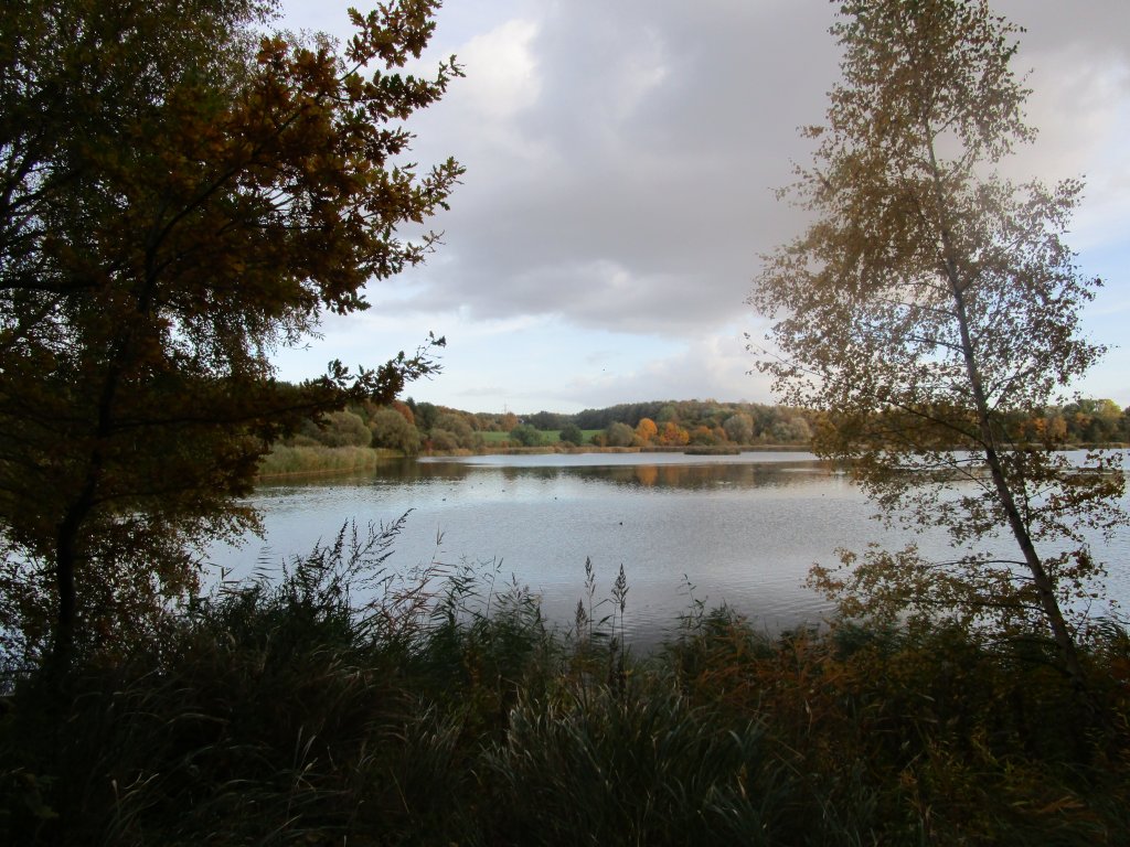 One of several small lakes in the Ohlsdorfer park
