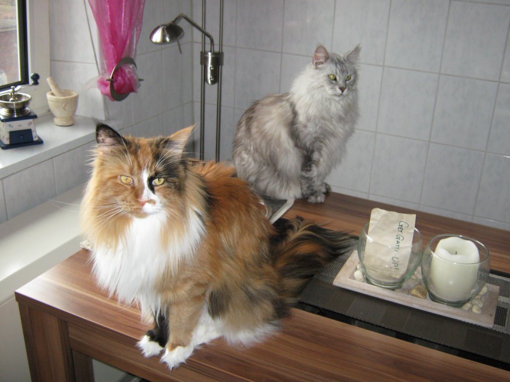 Where's our breakfast . . . ?